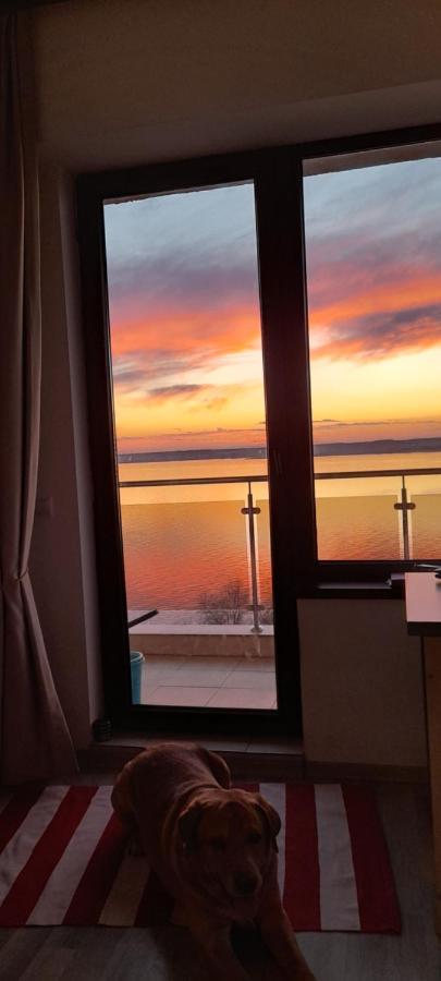 Bella Vista Summerland Mamaia Luaran gambar